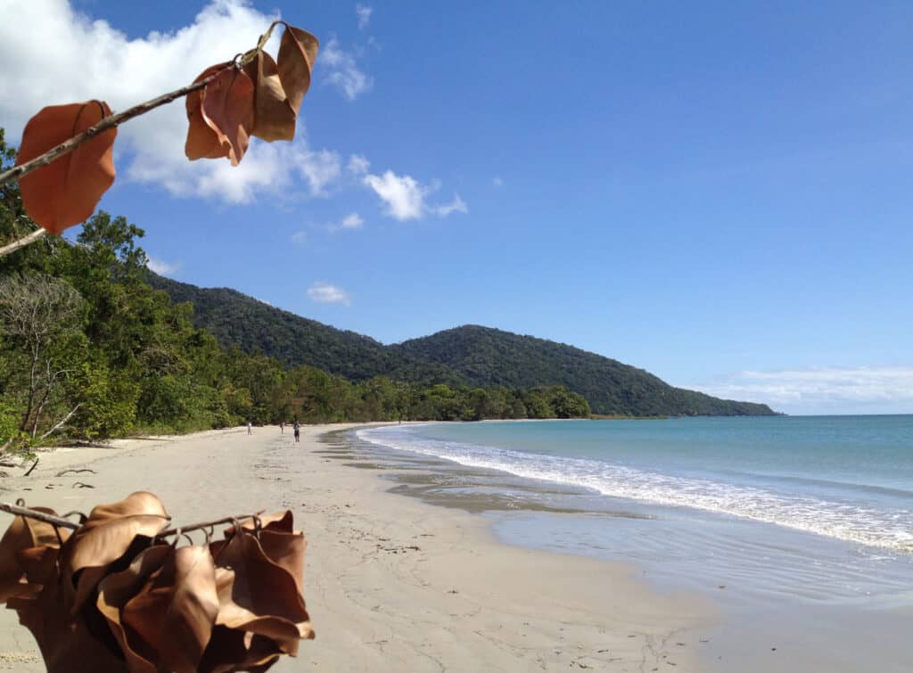 Cape Tribulation