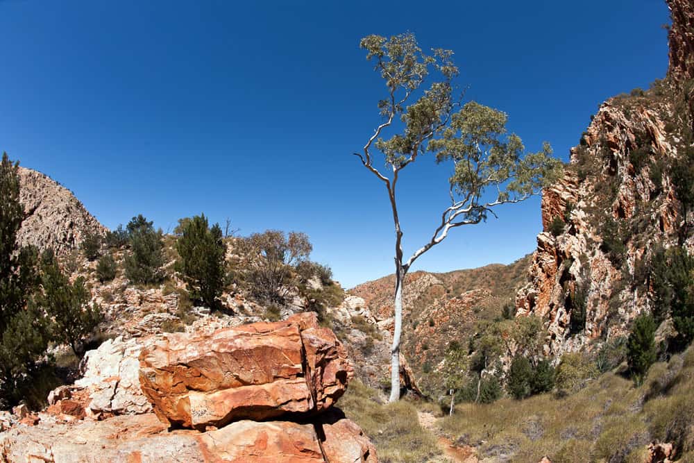 Standley Chasm